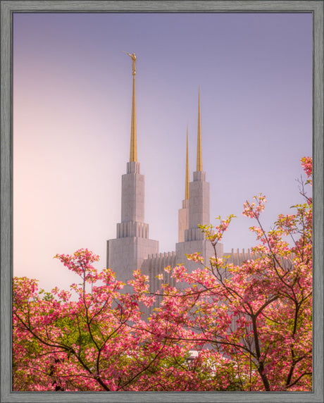 Washington DC Temple - Spires and Blooms