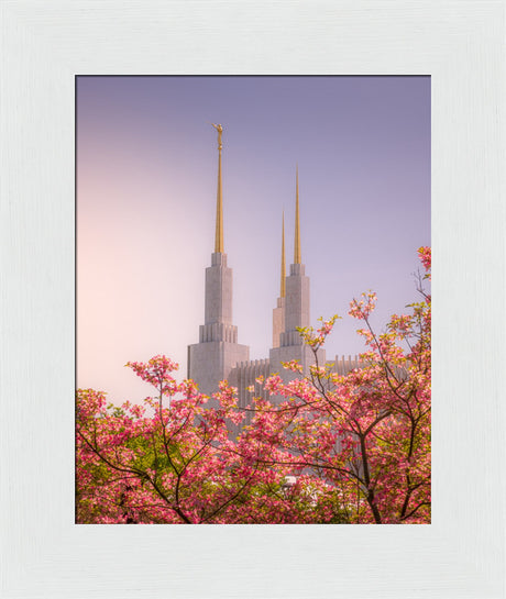 Washington DC Temple - Spires and Blooms