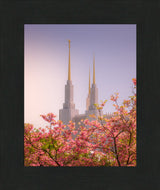 Washington DC Temple - Spires and Blooms