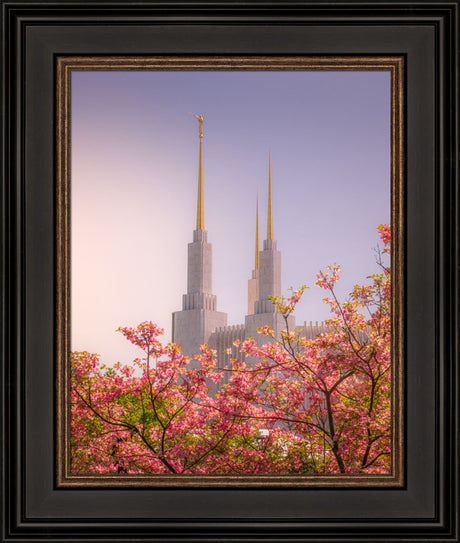 Washington DC Temple - Spires and Blooms