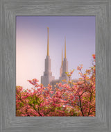 Washington DC Temple - Spires and Blooms