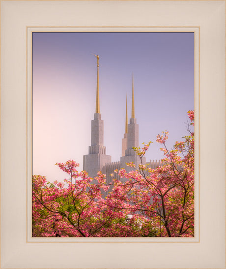 Washington DC Temple - Spires and Blooms
