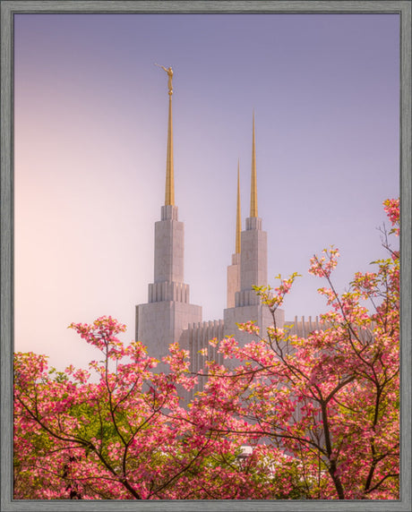 Washington DC Temple - Spires and Blooms