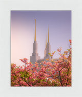 Washington DC Temple - Spires and Blooms