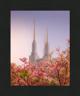 Washington DC Temple - Spires and Blooms