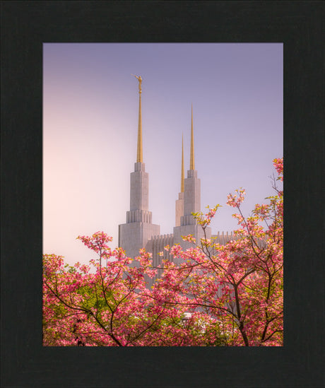 Washington DC Temple - Spires and Blooms