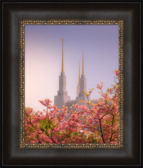 Washington DC Temple - Spires and Blooms