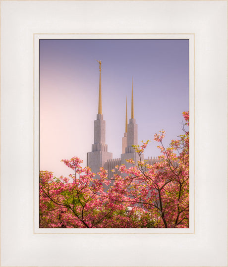 Washington DC Temple - Spires and Blooms