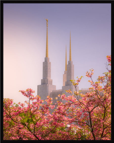 Washington DC Temple - Spires and Blooms