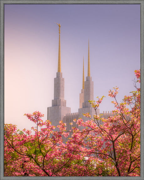 Washington DC Temple - Spires and Blooms
