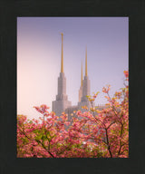 Washington DC Temple - Spires and Blooms