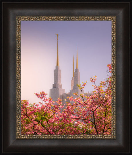 Washington DC Temple - Spires and Blooms