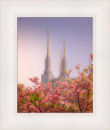 Washington DC Temple - Spires and Blooms