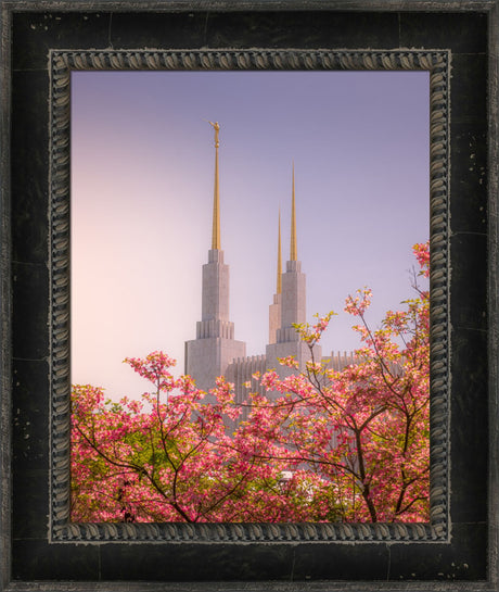 Washington DC Temple - Spires and Blooms