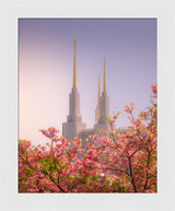 Washington DC Temple - Spires and Blooms