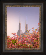 Washington DC Temple - Spires and Blooms