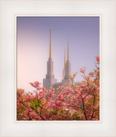 Washington DC Temple - Spires and Blooms