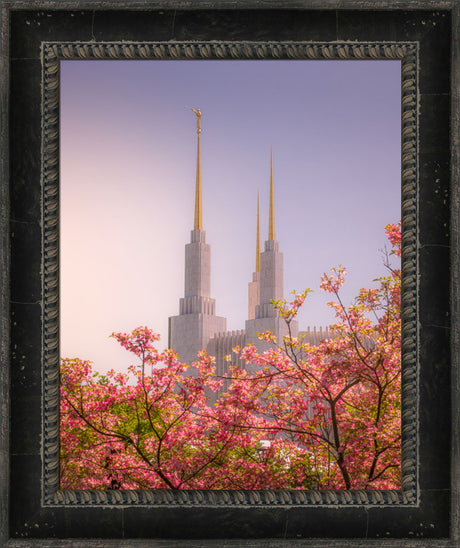Washington DC Temple - Spires and Blooms