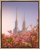 Washington DC Temple - Spires and Blooms
