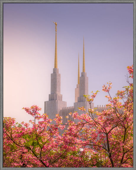 Washington DC Temple - Spires and Blooms