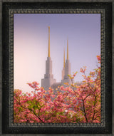 Washington DC Temple - Spires and Blooms