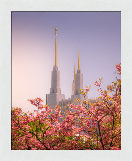 Washington DC Temple - Spires and Blooms
