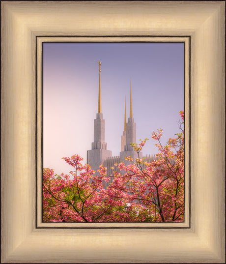 Washington DC Temple - Spires and Blooms