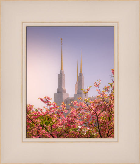 Washington DC Temple - Spires and Blooms