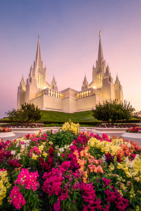 San Diego Temple - Blooming Grace