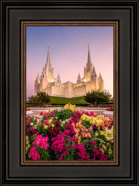 San Diego Temple - Blooming Grace