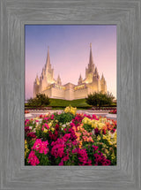 San Diego Temple - Blooming Grace