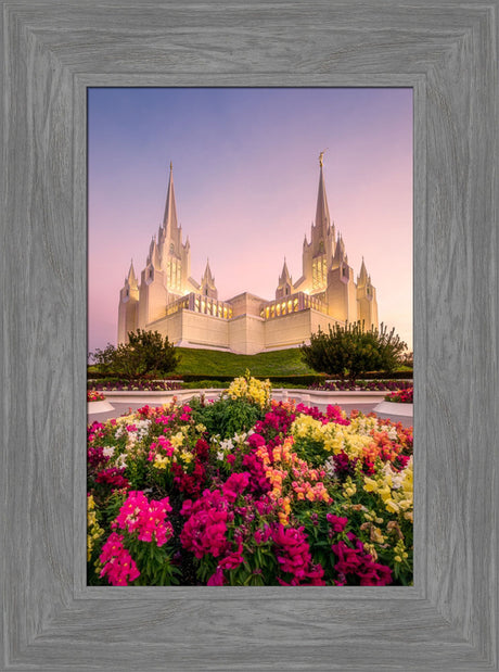 San Diego Temple - Blooming Grace