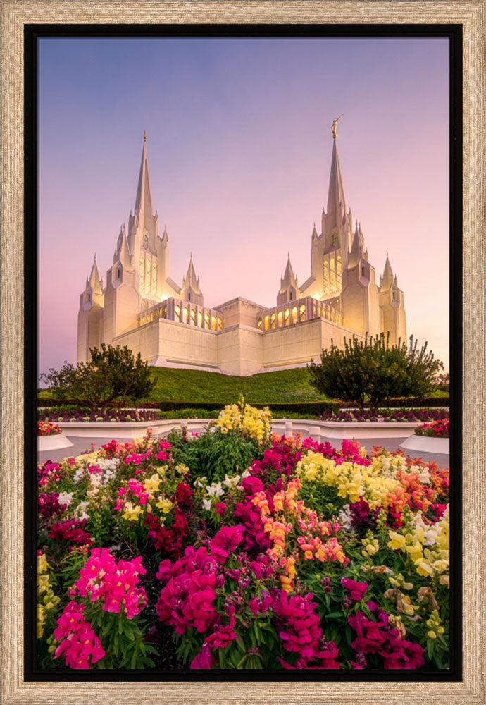 San Diego Temple - Blooming Grace