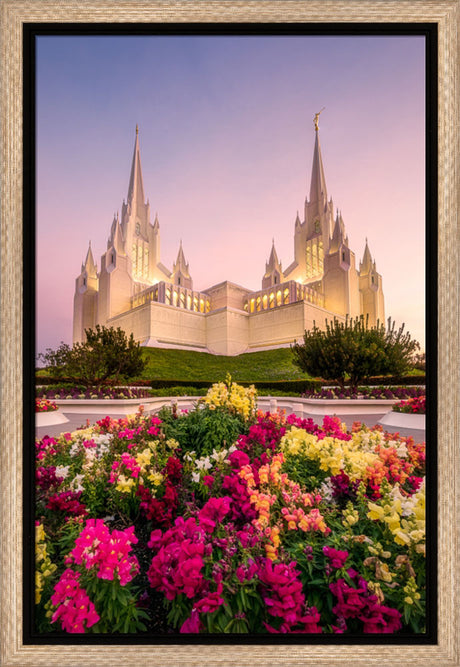 San Diego Temple - Blooming Grace