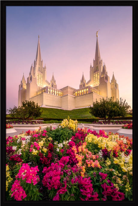 San Diego Temple - Blooming Grace