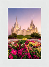 San Diego Temple - Blooming Grace