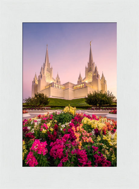 San Diego Temple - Blooming Grace