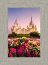 San Diego Temple - Blooming Grace