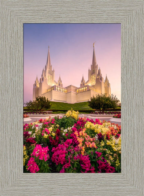 San Diego Temple - Blooming Grace