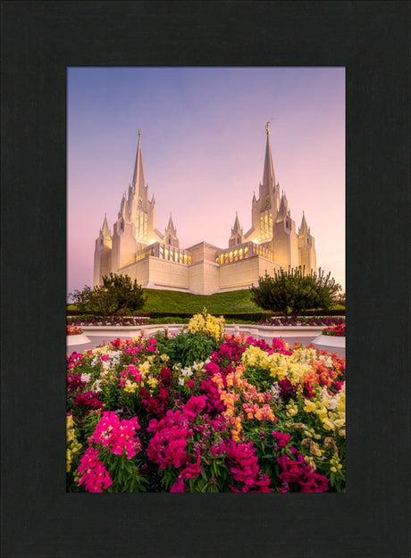 San Diego Temple - Blooming Grace