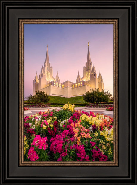 San Diego Temple - Blooming Grace