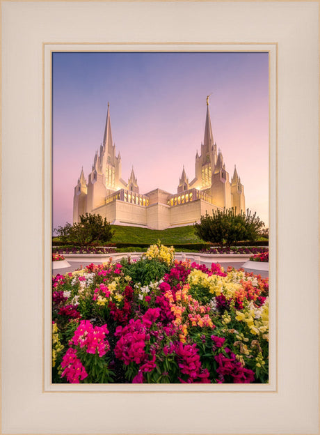 San Diego Temple - Blooming Grace