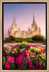 San Diego Temple - Blooming Grace