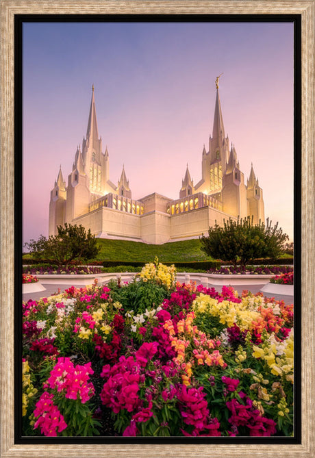 San Diego Temple - Blooming Grace