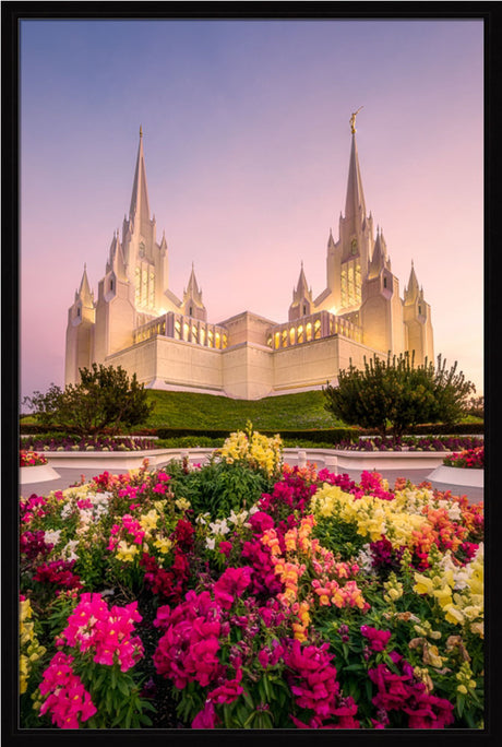 San Diego Temple - Blooming Grace