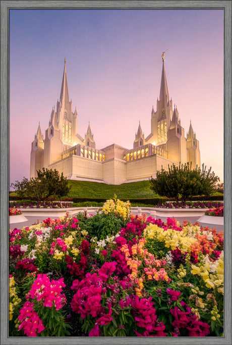San Diego Temple - Blooming Grace