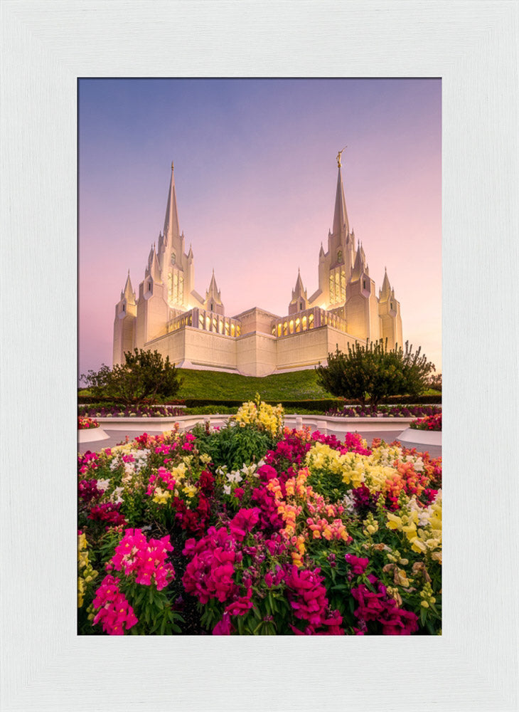 San Diego Temple - Blooming Grace