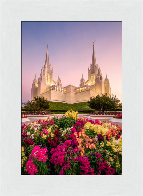 San Diego Temple - Blooming Grace