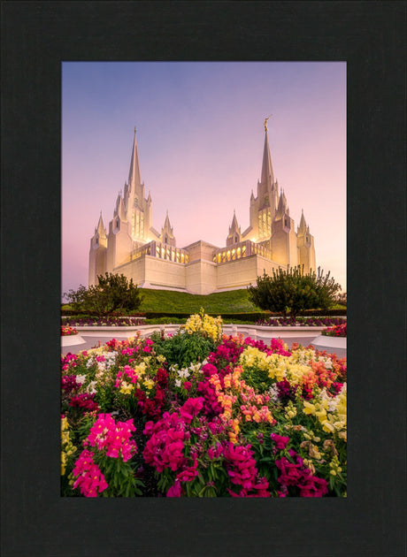 San Diego Temple - Blooming Grace