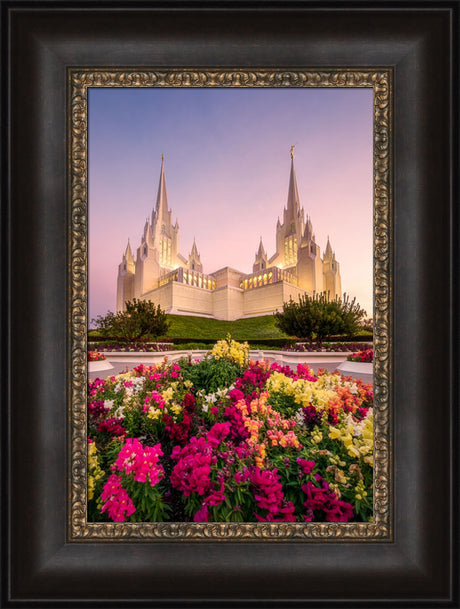 San Diego Temple - Blooming Grace